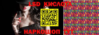 2c-b Кингисепп