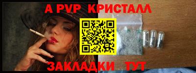 2c-b Кингисепп