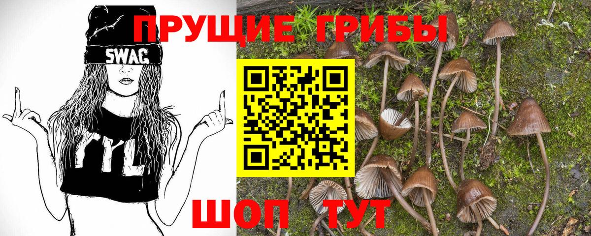 Галлюциногенные грибы мицелий Кингисепп